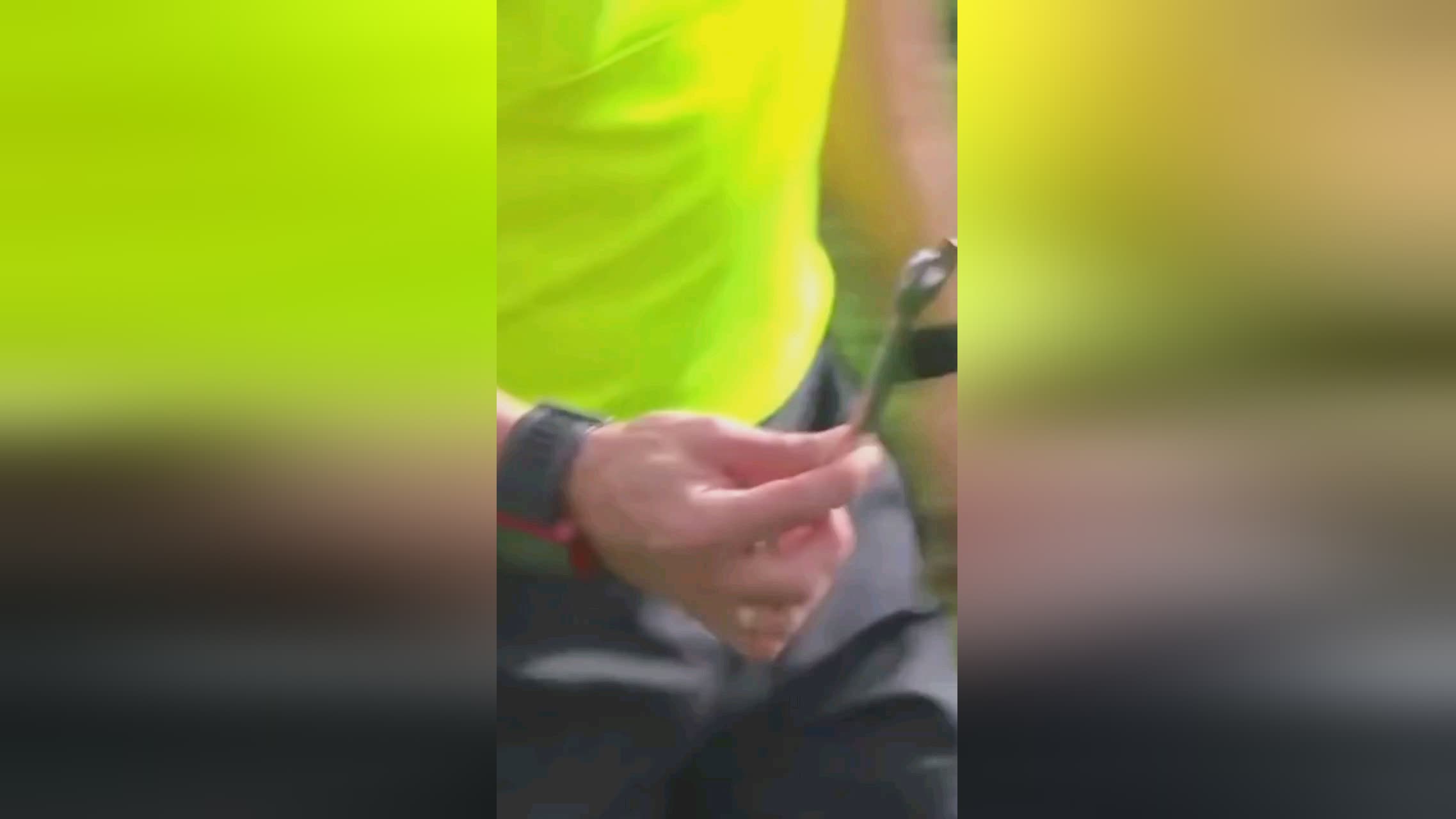 微信图片_20250415154129